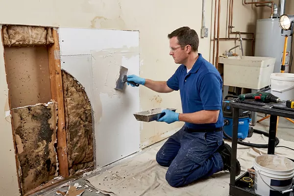 Mold and Drywall Repair Fountain Hills