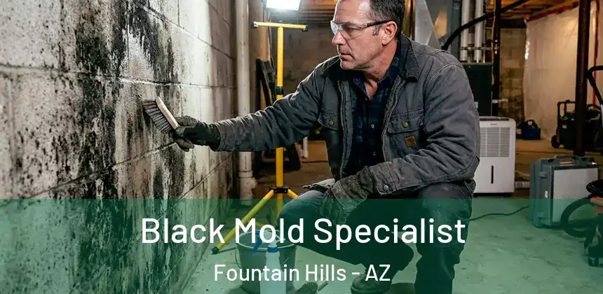  Black Mold Specialist Fountain Hills - AZ