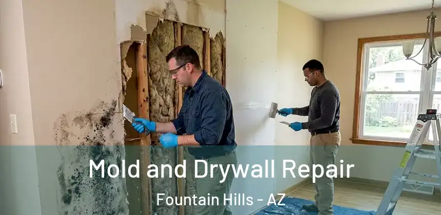Mold and Drywall Repair Fountain Hills - AZ
