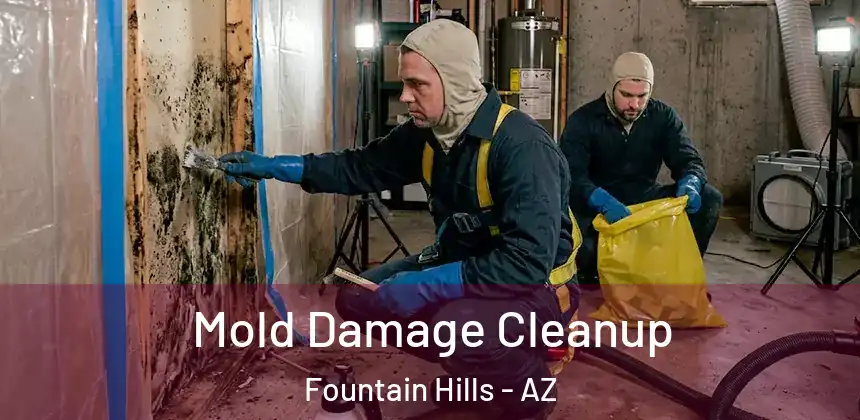 Mold Damage Cleanup Fountain Hills - AZ