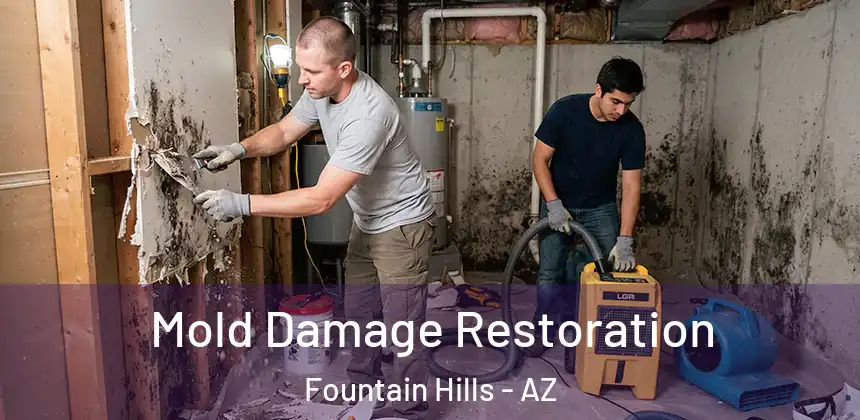  Mold Damage Restoration Fountain Hills - AZ