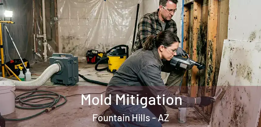 Mold Mitigation Fountain Hills - AZ