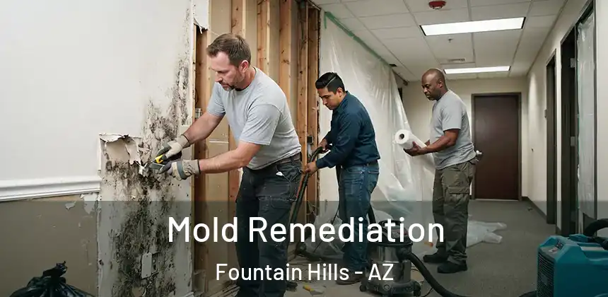  Mold Remediation Fountain Hills - AZ
