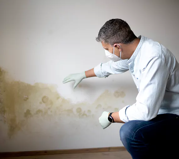 Mold Removal Service in Fountain Hills, AZ