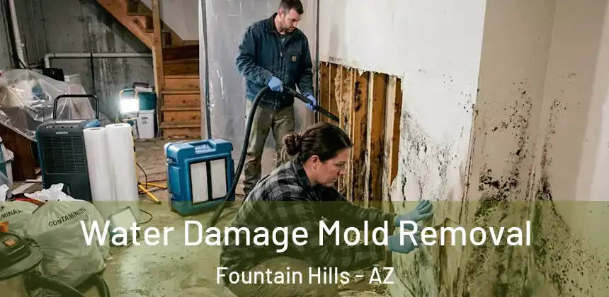  Water Damage Mold Removal Fountain Hills - AZ