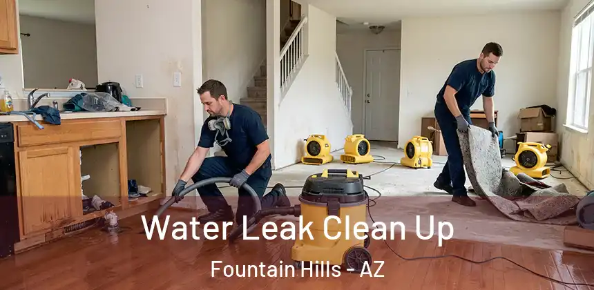  Water Leak Clean Up Fountain Hills - AZ